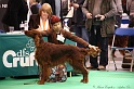 Crufts2011 332